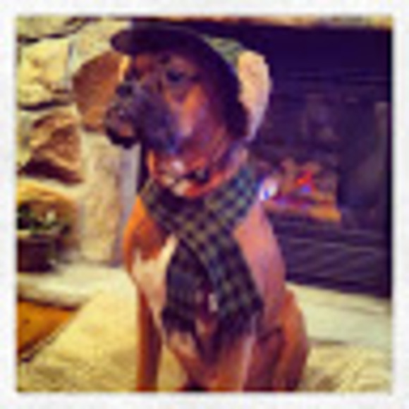 Meet your Posher, Angela - Picture 1 of 1